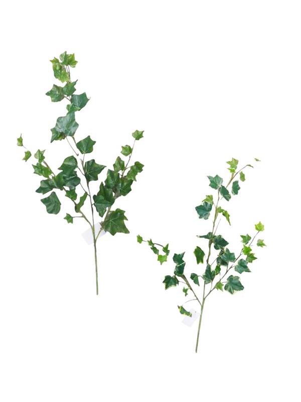 MINI IVY SPRAY X 3 W-39 LVS CM 62 PZ. 1