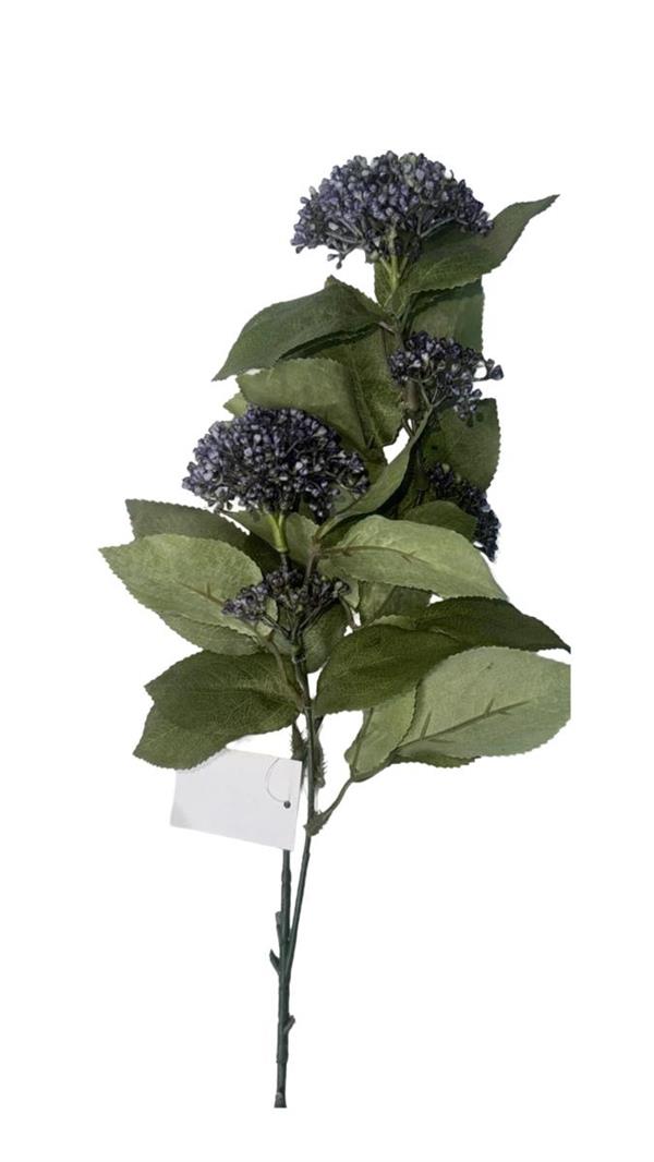 BERRY SPARY X2 LAVENDER