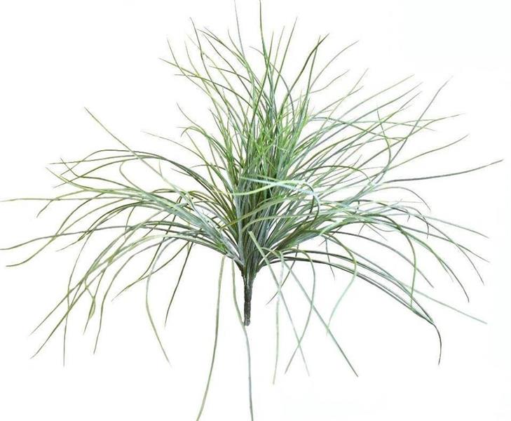 BEAR GRASS BUSH GREEN *1/12*