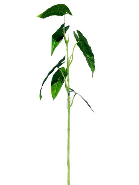 SYNGONIUM BRANCH 74CM 6/LEAF