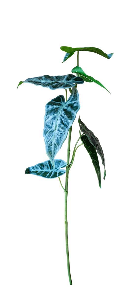 SYNGONIUM BRANCH 74CM 6/LEAF GREEN *1/12*
