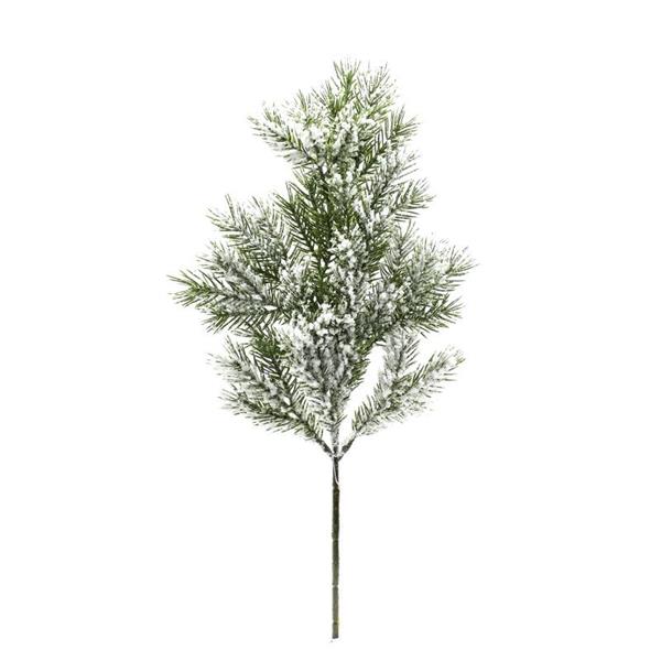 SNOWED COLORADO PINE BRANCH 50CM