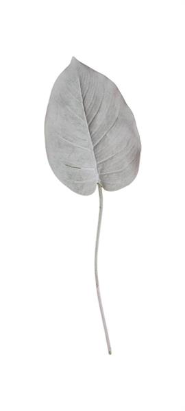 FLOCKED PHILODENDRO LEAF 70CM FLOCKED *1/24*