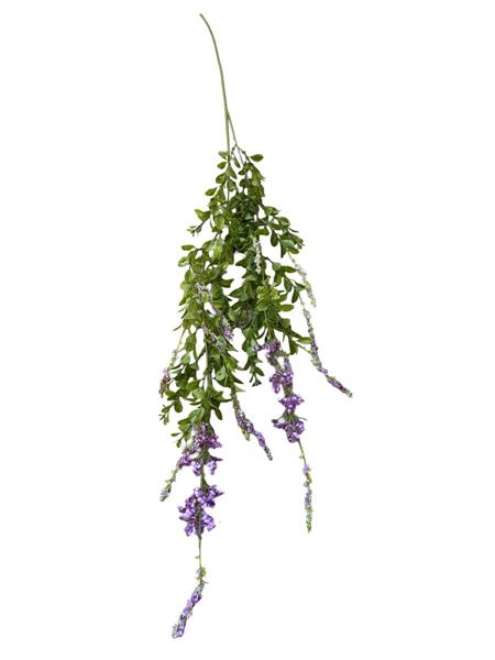 VERONICA X2 VINE