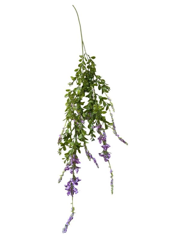VERONICA X2 VINE