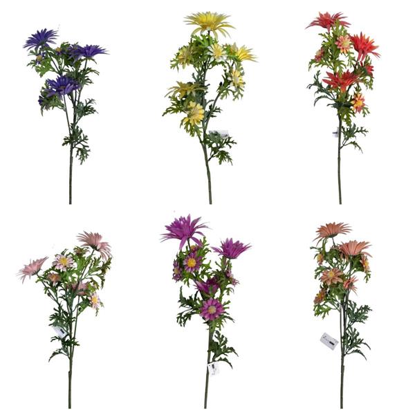 LEUCANTHEMUM SPRAY X 3 BIG FLRS X 4 SMALL FLRS