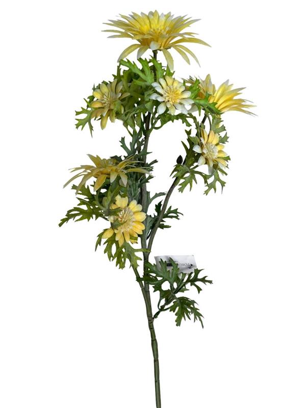 LEUCANTHEMUM SPRAY X 3 BIG FLRS X 4 SMALL FLRS YELLOW