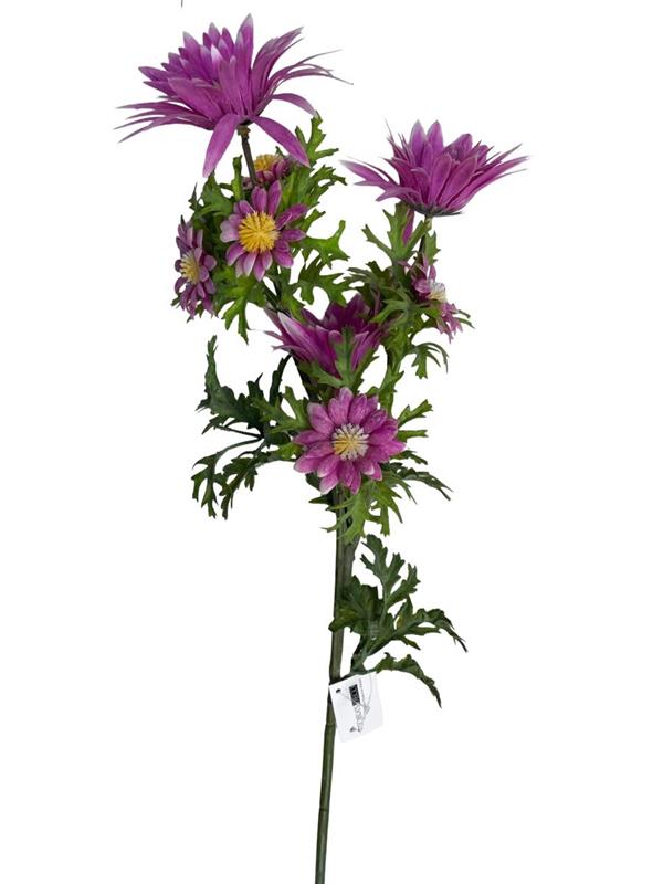 LEUCANTHEMUM SPRAY X 3 BIG FLRS X 4 SMALL FLRS DK PINK