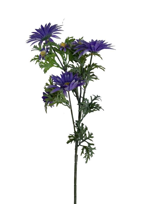 LEUCANTHEMUM SPRAY X 3 BIG FLRS X 4 SMALL FLRS LILAC