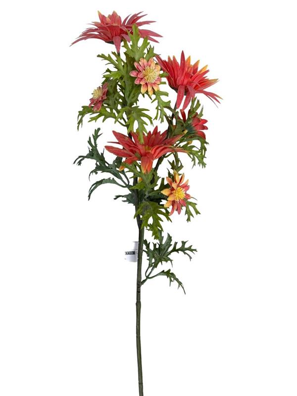 LEUCANTHEMUM SPRAY X 3 BIG FLRS X 4 SMALL FLRS SALMON