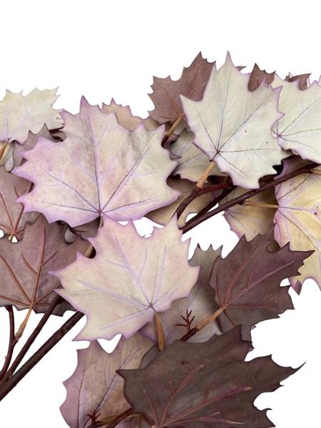 100CM MAPLE LEAF