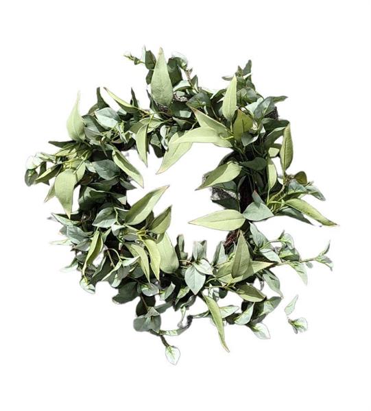 55CM EUCALYPTUS WREATH