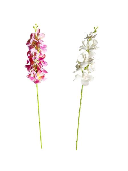 RAMO ORCHIDEA ( VANDA )