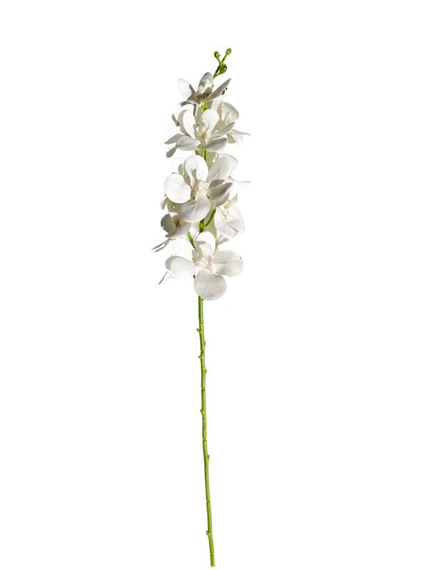 RAMO ORCHIDEA ( VANDA ) CREAM