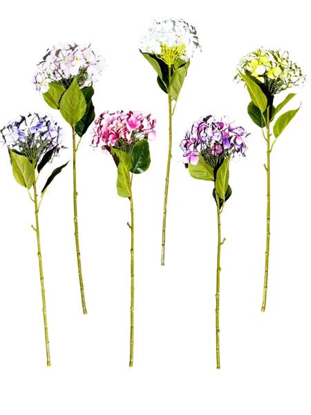 RAMO ORTENSIA  SING.CM 109 **1-12**