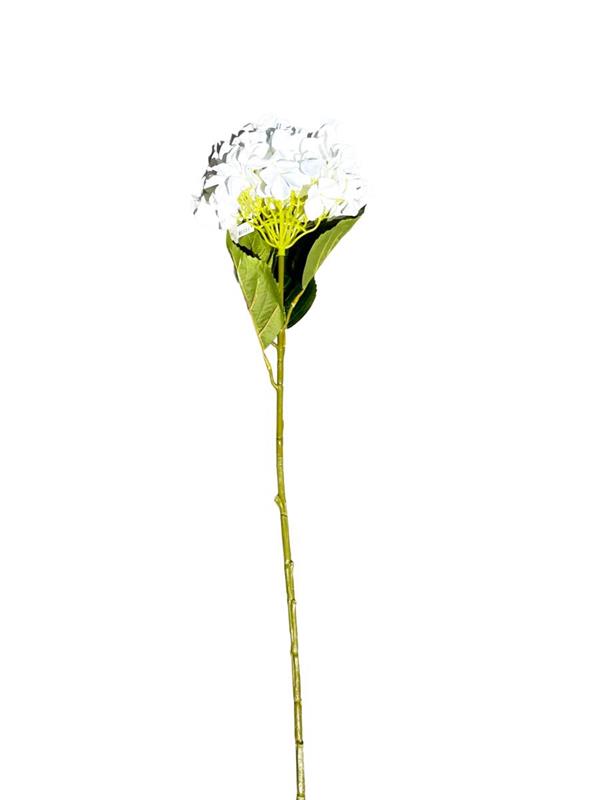 RAMO ORTENSIA SING.CM 109 **1-12** WHITE