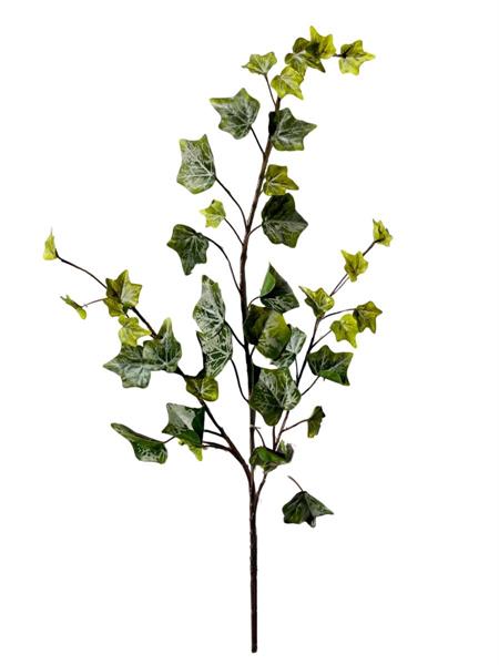 RAMO EDERA L.63 CM X 39 FOGLIE  **1-24-144*