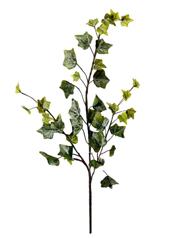 RAMO EDERA L.63 CM X 39 FOGLIE  **1-24-144*