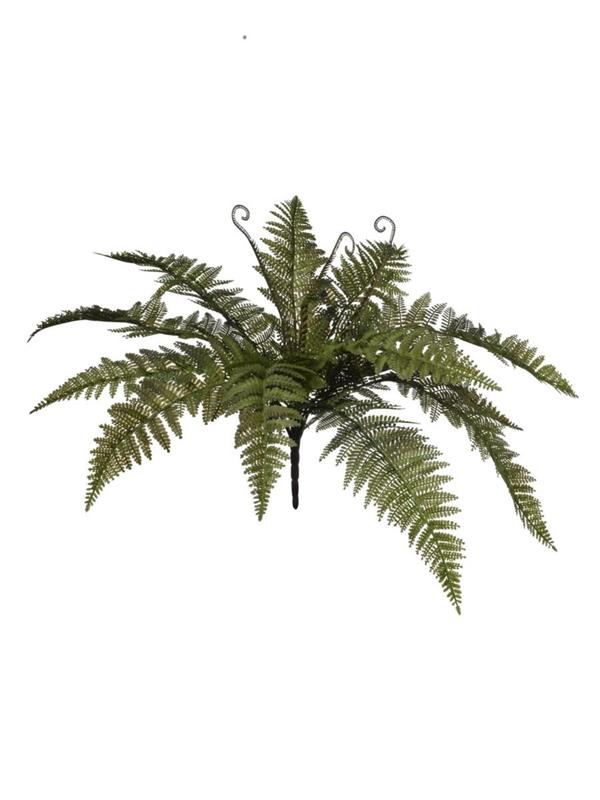 MAZZO FELCE X 15 LARG. CM 70 **1-12-120** GREEN