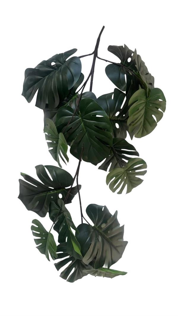 CADENTE MAZZO MONSTERA X18 CM.91 *1/12*