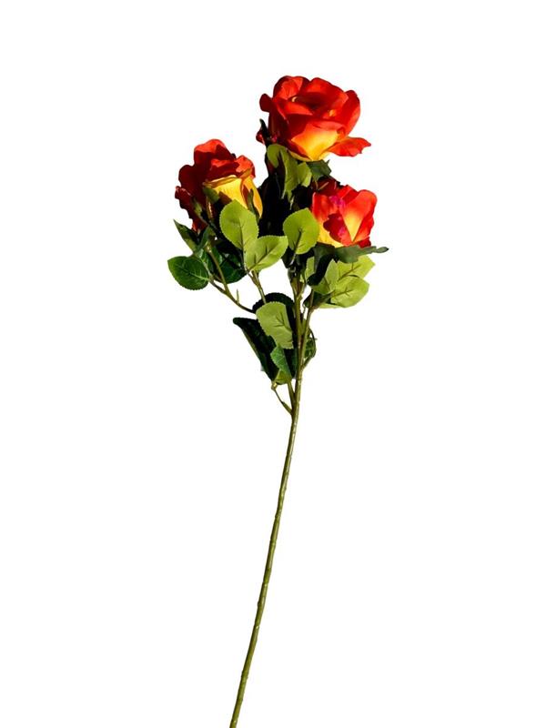 ROSA LARA W-4 FLRS-1 BUD ORANGE