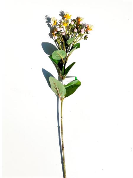 HYPERICUM SPRAY PINK 65CM *1/24*