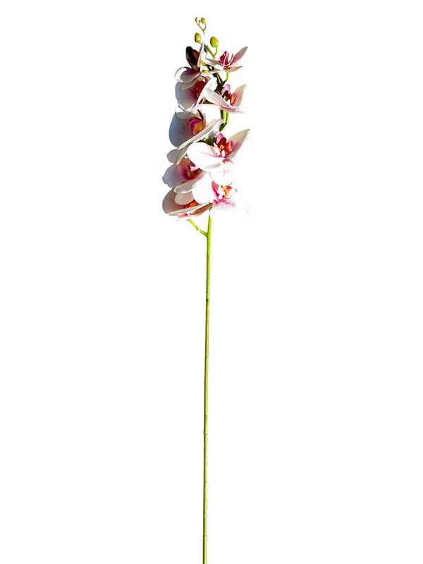 ORCHID SINGLE STEM 103 CM PZ.1 **12-144** H1014 ROSA CIPRIA