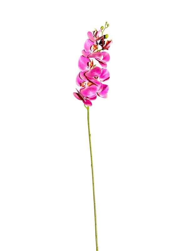 ORCHID SINGLE STEM 103 CM PZ.1 **12-144** H1014 FUXIA