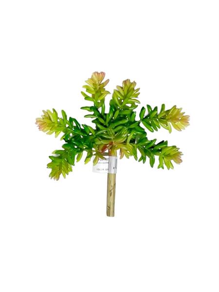 SUCCULENT X6, 17 CM.