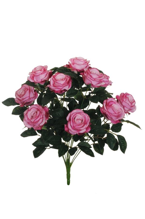ROSE BUSH X12, 47 CM. PKFU