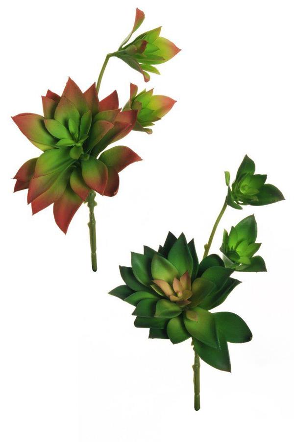 SOFT PLASTIC HANGING ECHEVERIA W/3 FLWS, D5-14 CM 32,5 CM