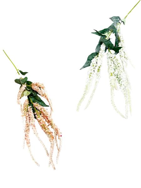 AMARANTHUS SPRAY FIORE H.50 CM TOT STELO 1,10 MT