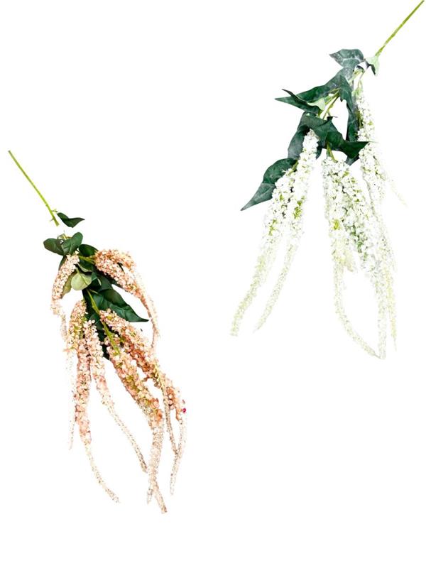 AMARANTHUS SPRAY FIORE H.50 CM TOT STELO 1,10 MT