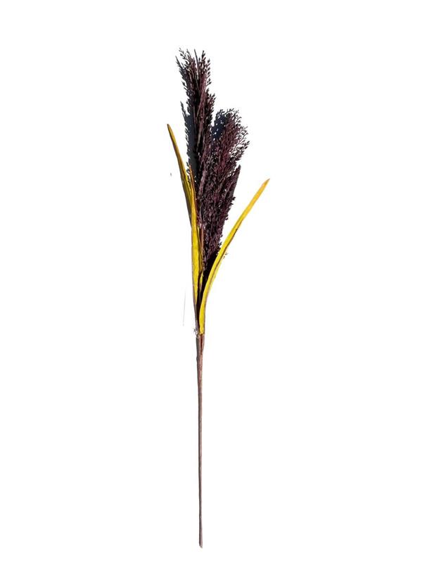 30 SORGHUM SPRAY BURGUNDY (96435) *1/24*