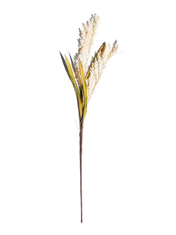 30 SORGHUM SPRAY CREAM (96438) *1/24*