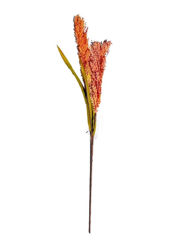 30 SORGHUM SPRAY ORANGE (96436) *1/24*