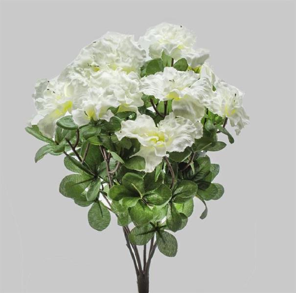 AZALEA BUSH 38CM X6