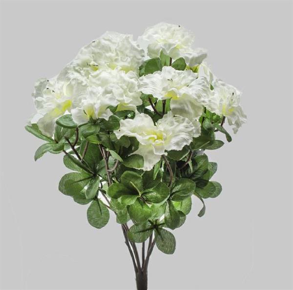 AZALEA BUSH 38CM X6