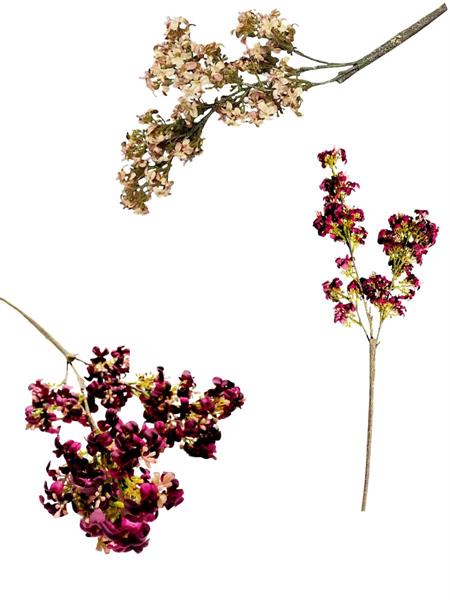 VIBURNUM FARRERI SPRAY W-CORED COAT