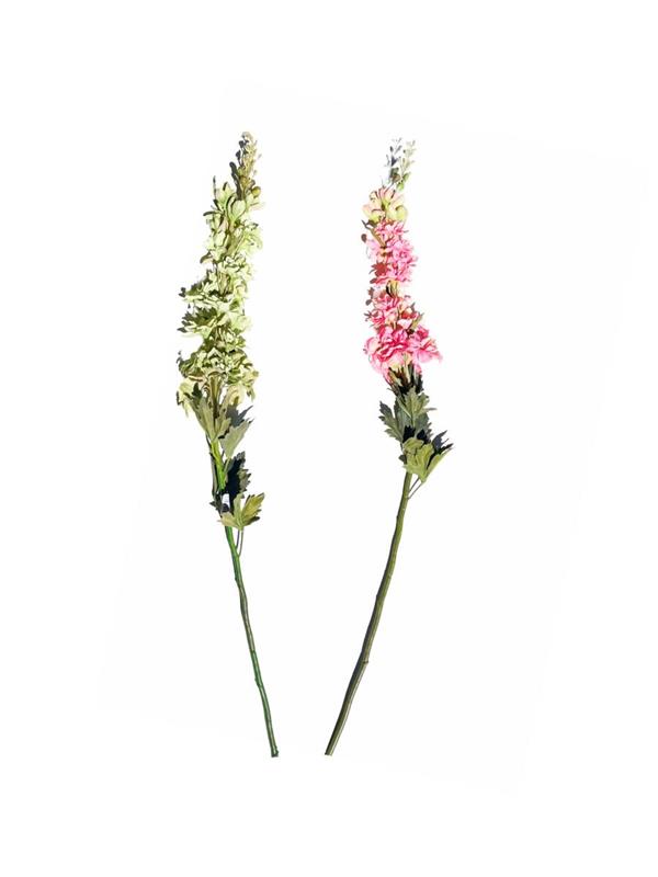 102CM DELPHINIUM