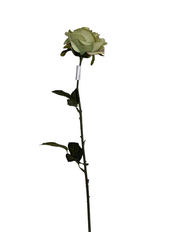 75CM SINGLE ROSE GREEN (83295)