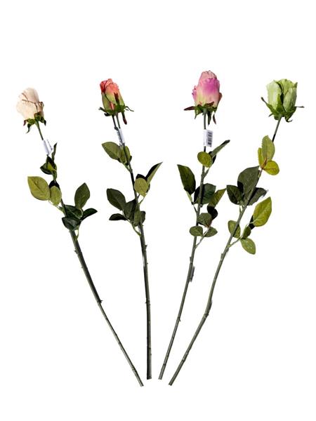 75CM SINGLE ROSE