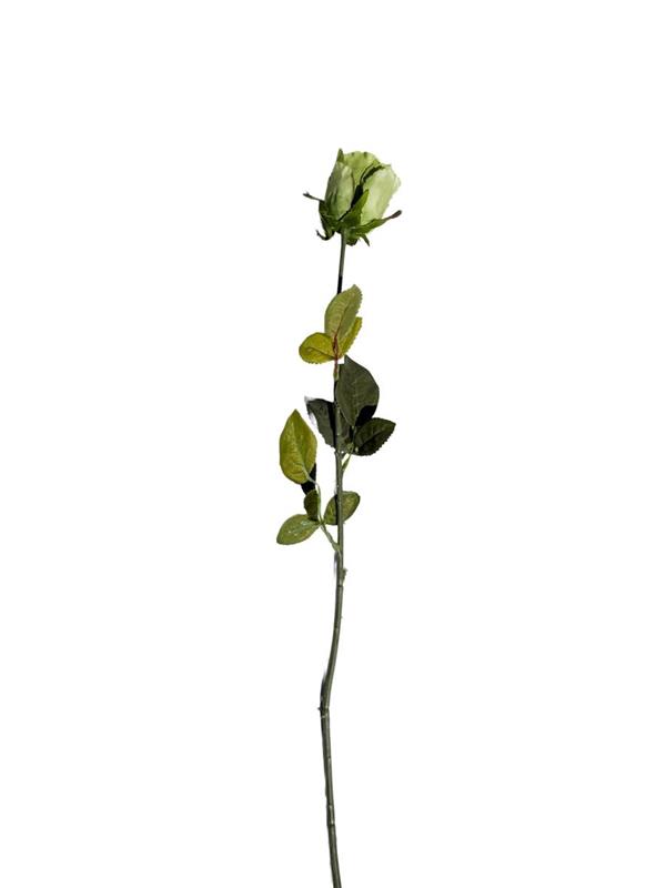 75CM SINGLE ROSE GREEN (83302)