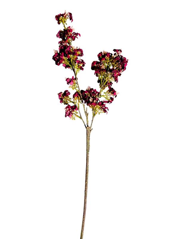 VIBURNUM FARRERI SPRAY W-CORED COAT BURGUNDY (80-382245_BU)