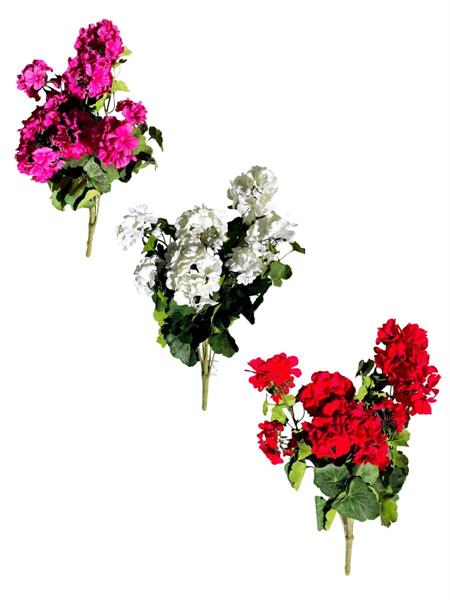 22 GERANIUM HANGING BUSH