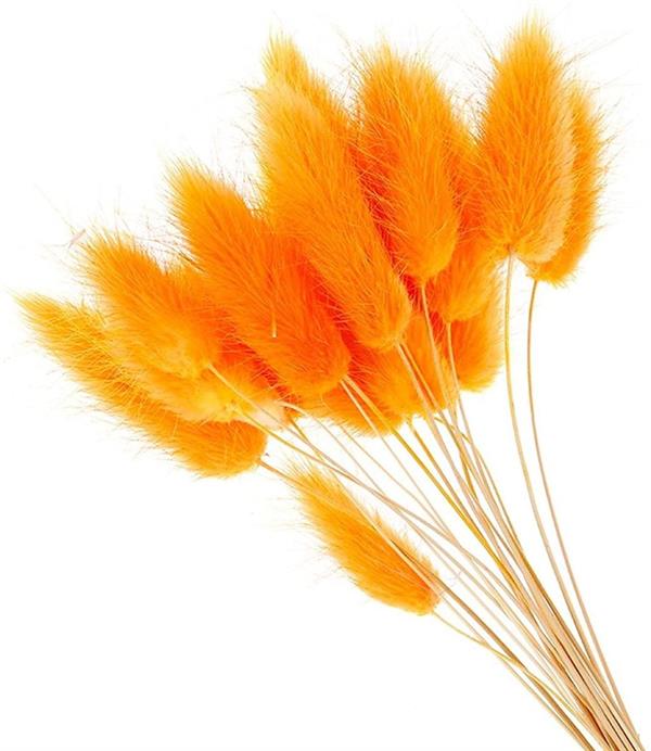 LAGURUS CONF DA 100GR **1-50** ARANCIO