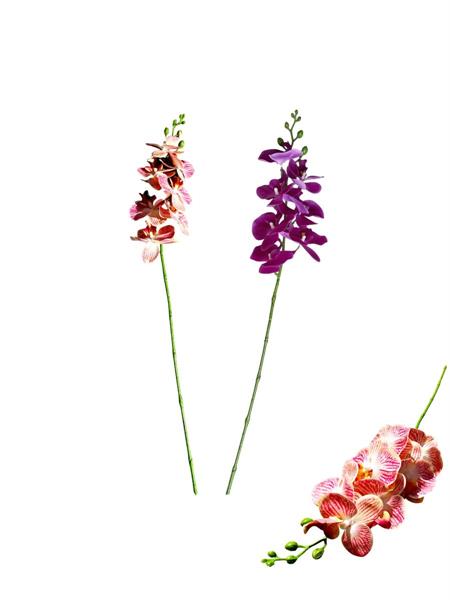 ORCHIDEA PC 24/144PZ