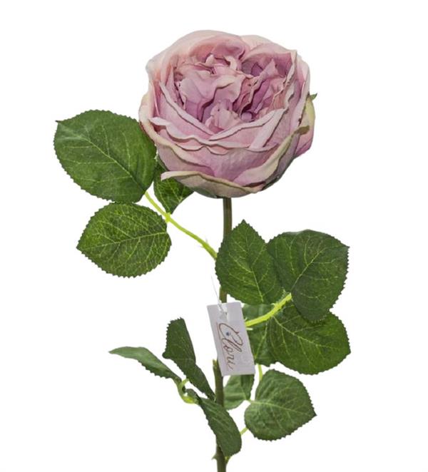 ENGLISH ROSE L.65CM *1/24/240/1200* PINK (EM06/P)