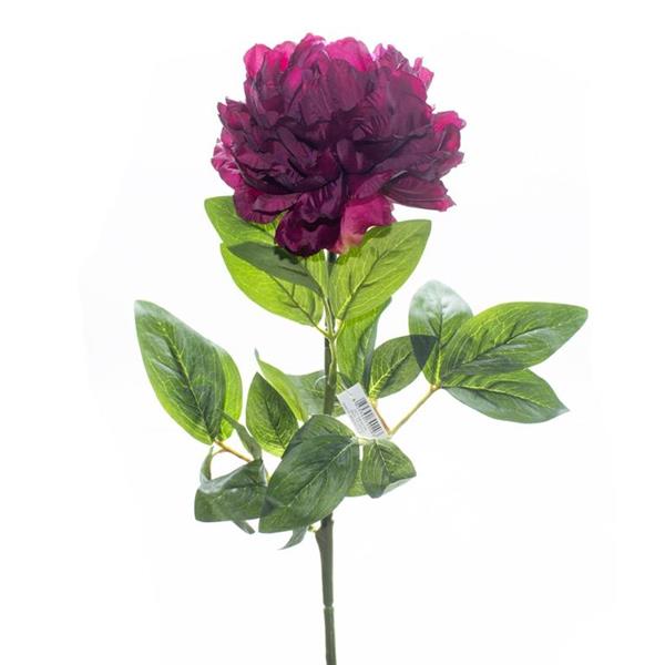 PEONIA SINGOLA **1/12/144/576** BORDEAUX (EM10/BX)